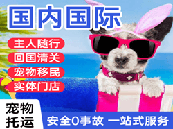 临沂空运公司国际宠物托运 【国